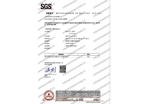 SGS檢測(cè)中文版 質(zhì)檢報(bào)告